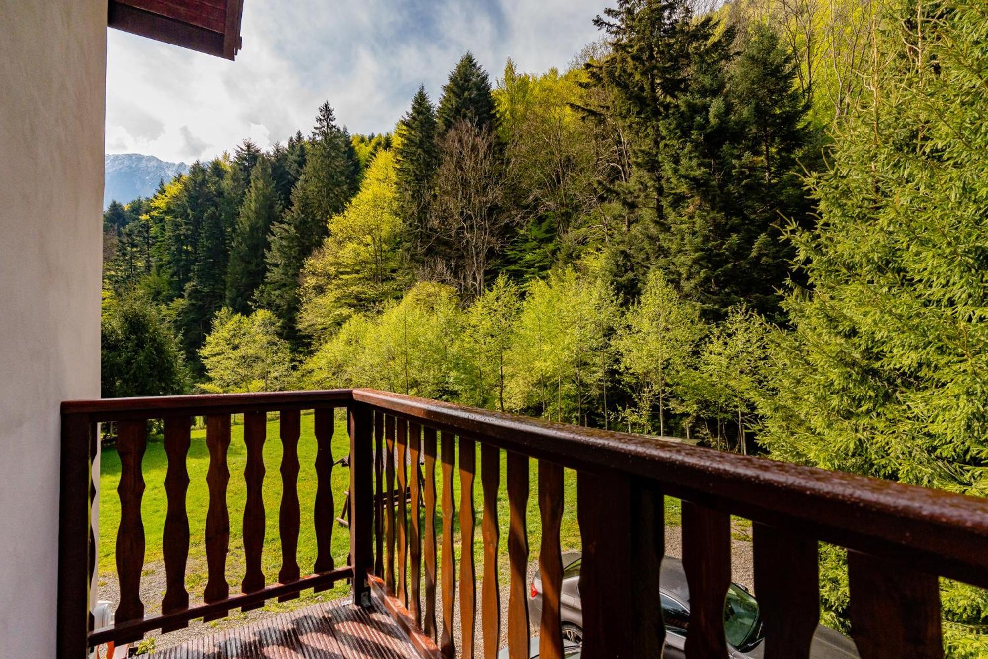 Cabana Zip Zărneşti Exterior foto